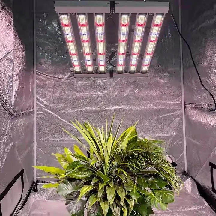 Best Led Grow Lights For Greenhouse